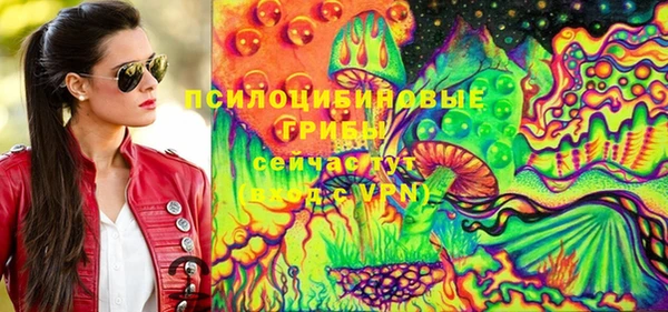 а пвп мука Заводоуковск