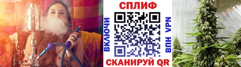 Купить где  Демидов  Бошки марихуана OG Kush 